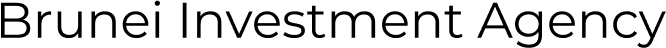 Brunei Investment Agency
